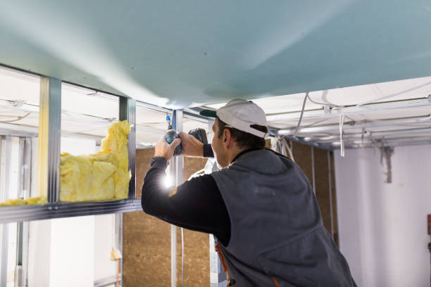Best Residential Insulation in Leander, TX