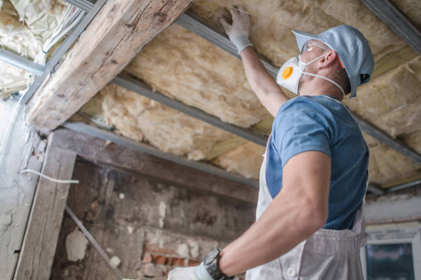 Best Energy Efficiency Solutions in Leander, TX