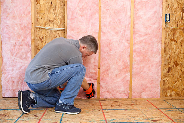 Best Insulation Maintenance and Repair in Leander, TX